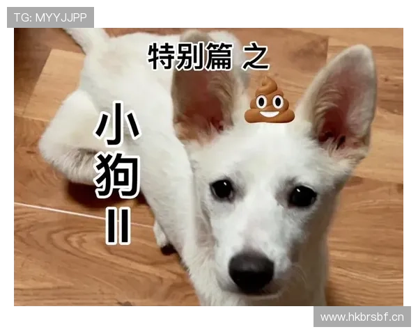 莱德基每天游5000米就当遛弯，我走5000步都喘成狗